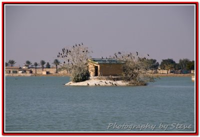 Small Island in the lake