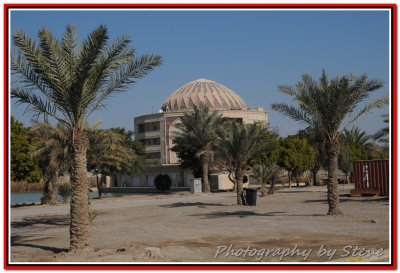 Palace in the distance