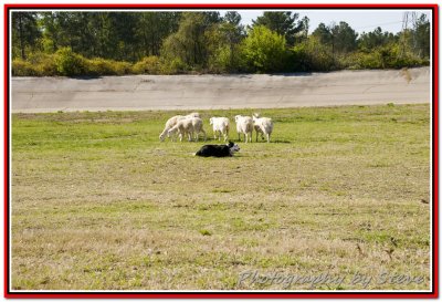 DSC_1821A.jpg