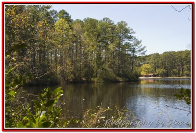 DSC_2074A.jpg