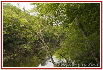 DSC_2797A.jpg