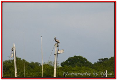 DSC_2519A.jpg
