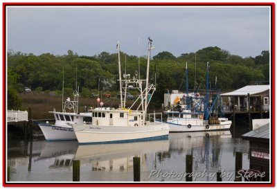 DSC_2520A.jpg