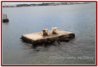 DSC_4877A.jpg