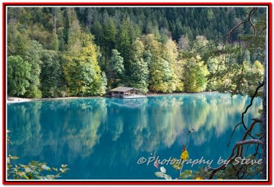 DSC_6445A.jpg