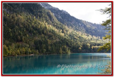 DSC_6450A.jpg