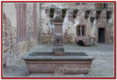DSC_7205A.jpg