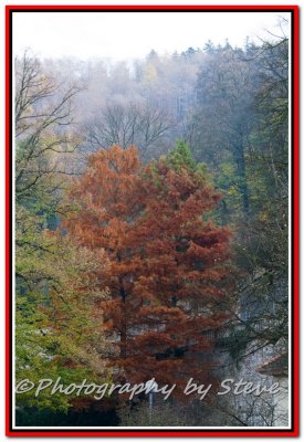 DSC_7223A.jpg