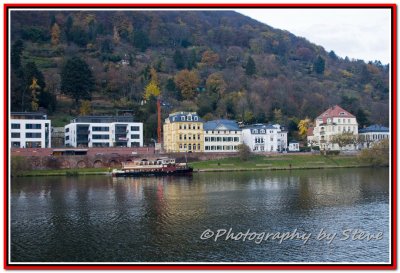 DSC_7274A.jpg