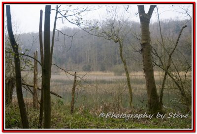 DSC_8661A.jpg