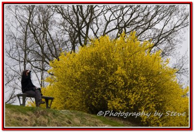 DSC_8757A.jpg