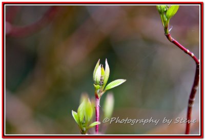 DSC_8822A.jpg