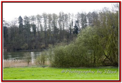 DSC_8839A.jpg
