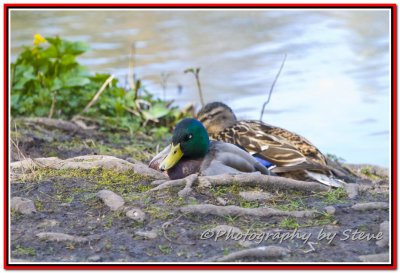 DSC_8849A.jpg