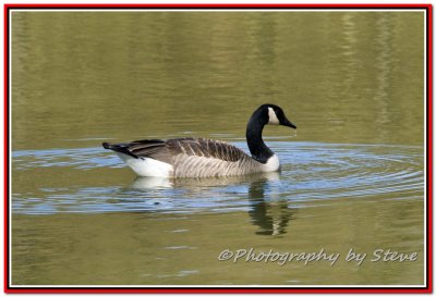 DSC_8850A.jpg