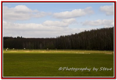 DSC_8886A.jpg