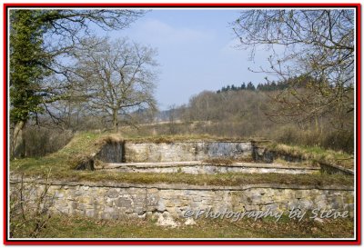 DSC_8943A.jpg