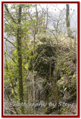 DSC_8965A.jpg