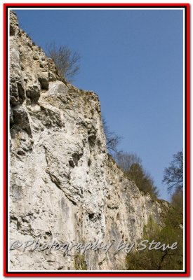 DSC_8979A.jpg