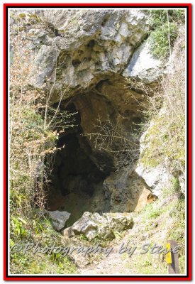 DSC_8986A.jpg