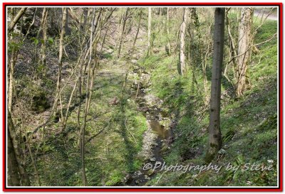 DSC_9015A.jpg