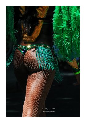 Paris Tropical Carnival 2011 - 36