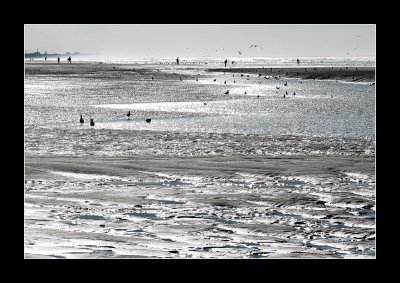 Costal wanderings 5