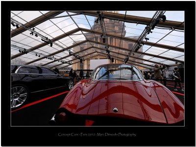 Concept Cars Paris 2012 - 16