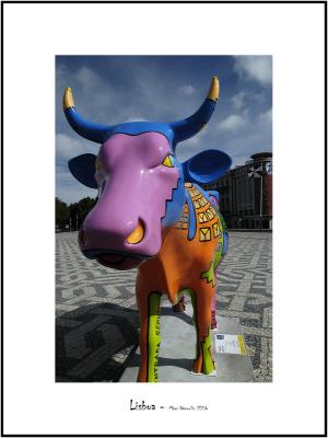 Cows in Lisboa 17