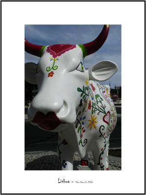 Cows in Lisboa 21