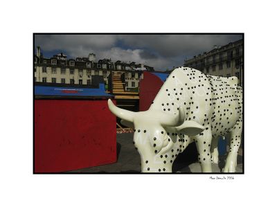 Lisboa, cows parade 3