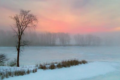 Foggy Sunrise 20110217