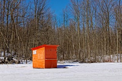 Orange Blueberry Stand 20110222