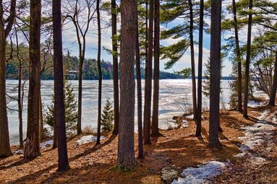 Lakeside Pines 05983