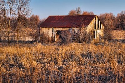 Old Barn In A Field 07716