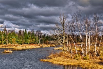 Early Spring Creek 20110421