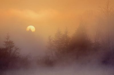 Foggy Sunrise 09276