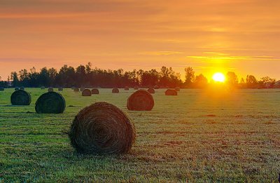 Bales At Sunrise 11397-9