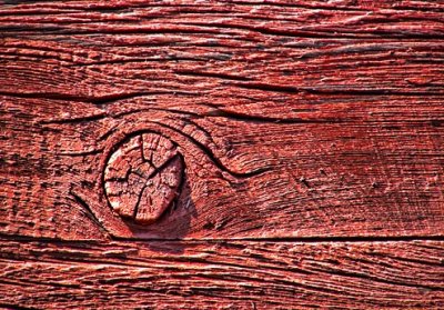 Old Wood Knot 20110714