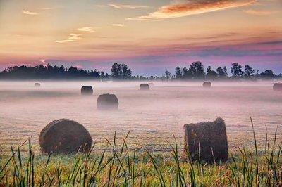 Bales In Misty Field At Sunrise 20110819