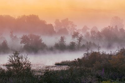 Misty Rideau Canal Sunrise 20110905