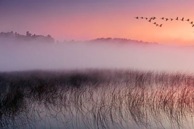 Misty Otter Lake At Dawn 20110918