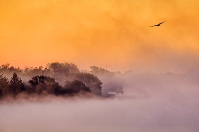 Misty Rideau Canal Sunrise 20110919