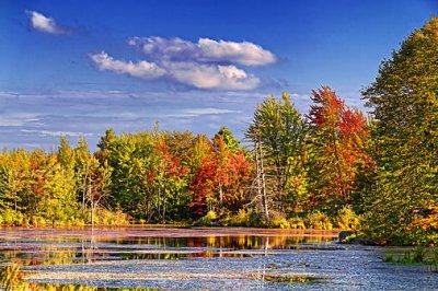 More Canadian Shield Gallery