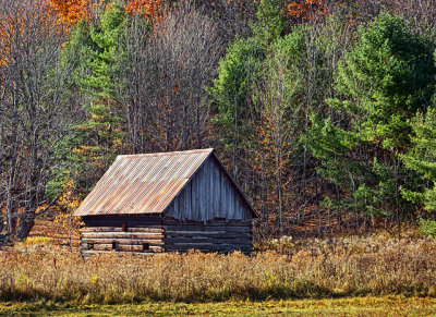 Canadian Shield Scene DSCF02999