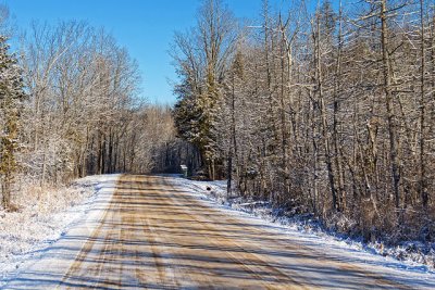 Christmas Eve Back Road 20196