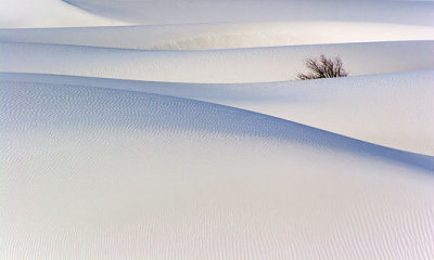 White Sands 32282