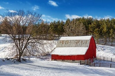Red Barn In Winter 21427