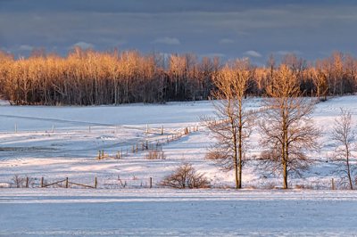 Winter Fields At Sunrise 20120207