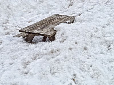 Buried Picnic Table 20120219